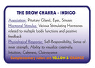 INDIGO – Colour Therapy Filter for Bioptron Pro 1 - Lumia Science