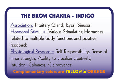 INDIGO – Colour Therapy Filter for Bioptron Pro 1 - Lumia Science