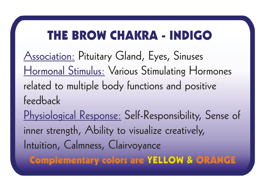 INDIGO – Colour Therapy Filter for Bioptron Pro 1 - Lumia Science