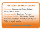 ORANGE – Colour Therapy Filter for Bioptron Pro 1 - Lumia Science