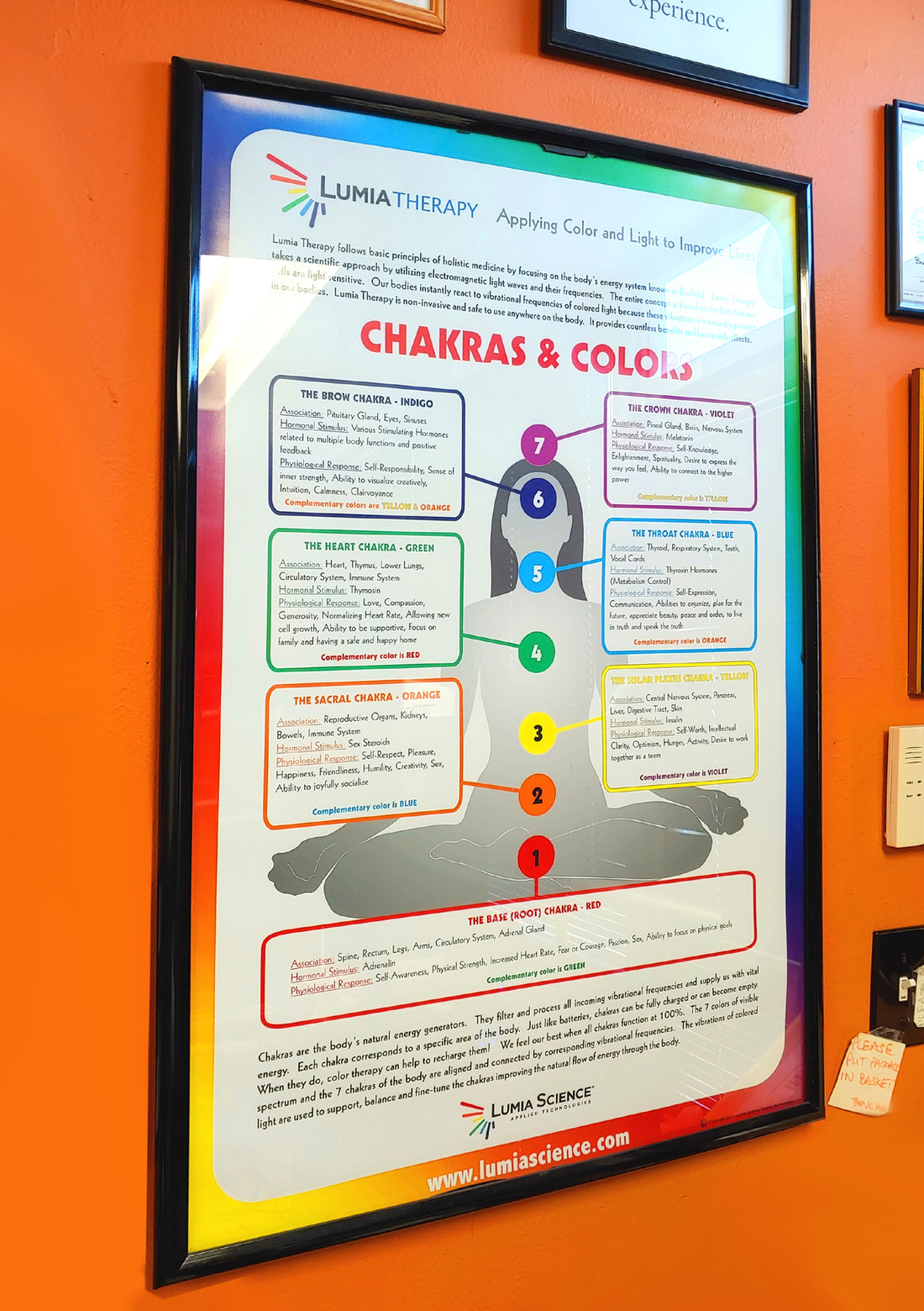 Lumia Therapy Poster - 2025