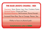 RED – Colour Therapy Filter for Bioptron Pro 1 - Lumia Science