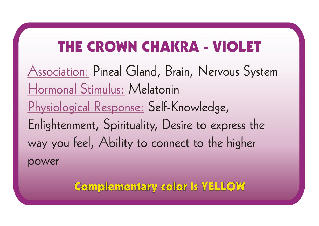 VIOLET – Colour Therapy Filter for Bioptron Pro 1 - Lumia Science