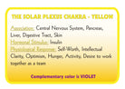 YELLOW – Colour Therapy Filter for Bioptron Pro 1 - Lumia Science