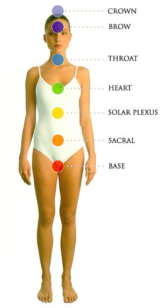 PRO 1®- Bioptron by Zepter – COMPLETE Professional Set "PLUS" featuring the FULLERENE filter